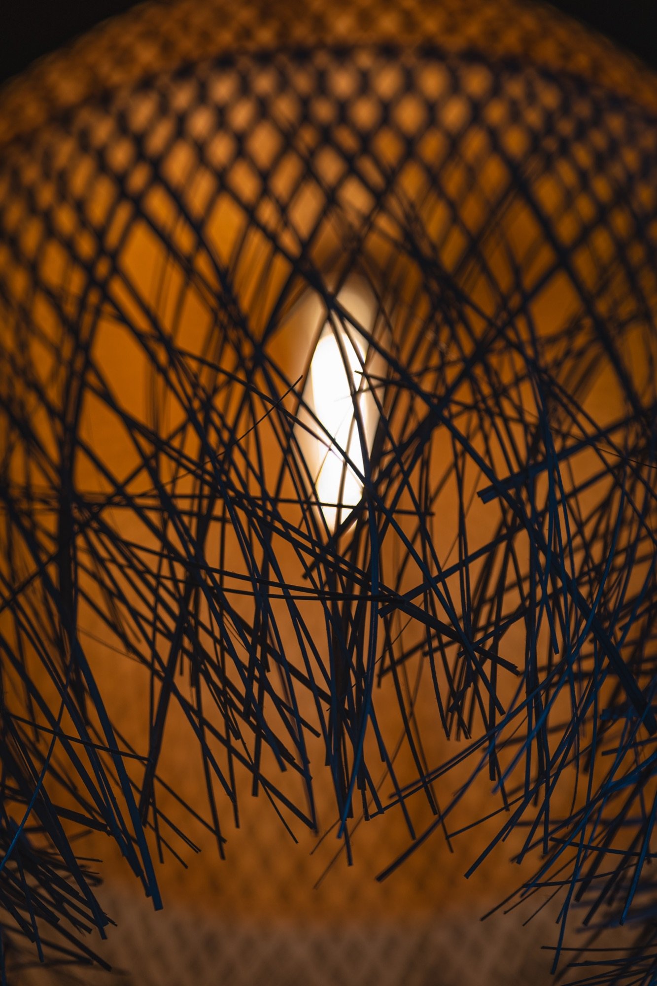 El Jardí — 5