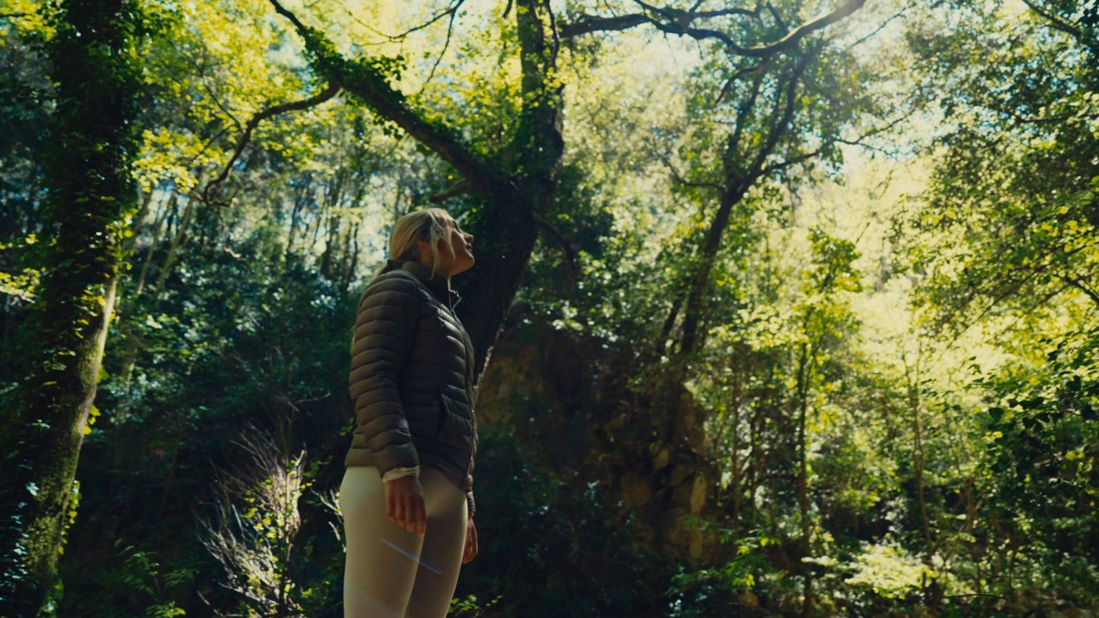 Enselva't — 2